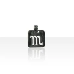 Zodiaque Argent PM SCORPION