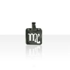 Zodiaque Argent PM VIERGE